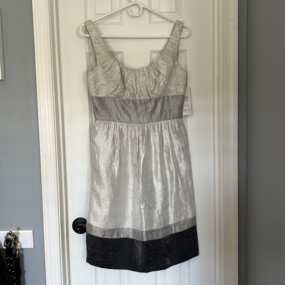 NWT Silver Grey Dress